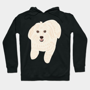 Cute Puppy Smiling Hoodie